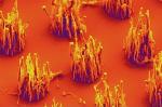 Vertically-Aligned Carbon Nanofibers Grown Using Ambient Air
