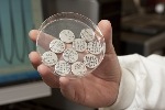 Fragmented Carbon Nanotube Macrofilms Can Serve as Adhesive Conductors