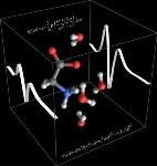 Terahertz Spectroscopy and Molecular-Dynamics Simulations Render Glycine Motion Visible in Water