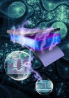 Research Reveals Solar Cell Efficiency Based on Balance Between Size and Purity of Domains