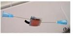 Multi-Layered Graphene Serves as Anode for Saliva-Powered Micro-Sized Microbial Fuel Cells