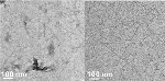 Carbon Nanotube Rebars Ease Handling of 2-D Graphene