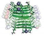 Self-Assembling Nanostructured Catalysts