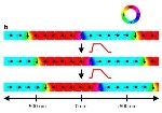 Major Breakthrough in Methods of Information Processing in Nanomagnets