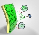 Nanoplatelet Surface Coating Applied Using a Spray Gun Spontaneously Self-Assembles into Nano-Walls