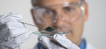 PANalytical Specialist to Present Webinar on Total Scattering Technique and PDF Analysis