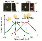 Researchers Use Gold Nanoparticles to Indicate Presence of Breast Cancer