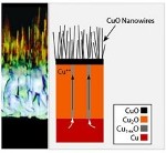 New Research Shows Copper Sprout Grass-like Nanowires Can be Made into Solar Cells