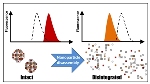 CHOP Researchers Offer New Technique to Characterize Nanoparticle Disassembly