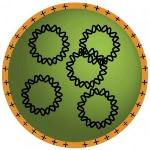 Biodegradable Nanoparticles Can Carry DNA to Brain Cancer Cells