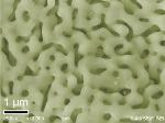 Researchers Synthesize 3D Nanoporous Graphene with Preserved 2D Dirac Electronic Characters