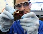 Towards ‘Molecularly Stretchable’ Electronic Materials
