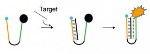 DNA Clamp Nanoswitches Offer a New Tool for Identifying Increased Risk of Cancer
