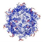 Two Keys Open Tunable Virus That Works Like a Safe Deposit Box
