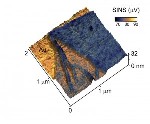 AFM Combined with Infrared Synchrotron Light Improves Spatial Resolution of Infrared Spectroscopy