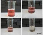 Novel Nanostructures Help Decontaminate Water