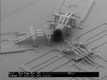 MEMS Nanoinjector Helps Avoid Cell Death When Introducing DNA into Cells