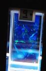 BCAT Study of Colloidal Systems Aboard Space Station May Help Advance Manufacturing of Nanoproducts
