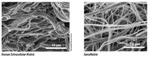 Xanofi Releases Nanofiber-based XanoMatrix 3D Cell Scaffolds