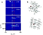Researchers Explore How Organic Molecules Form Crystal Lattices at Nanoscale