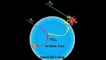 Researchers Examine Photo-Excited Bare and Dye-Sensitized TiO2 Nanoparticles in Colloidal Solutions