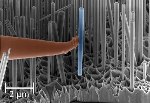 Researchers Demonstrate Superiority of AFM Probe Tips Made from Near-Perfect GaN Nanowires