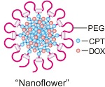 Daisy-Shaped Drug Cocktail Holds Promise Against Cancer