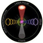 Plasmonic Nanobubbles Can Detect and Kill Only Cancer Cells