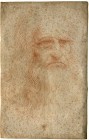Nanoscale Study of Visual Degradation in Da Vinci's Self-Portrait