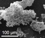 Nitrogen-Containing Nanoporous Carbon Can Capture Carbon Dioxide from Natural Gas