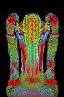 Eye-Popping Microscope Image Exhibit of Cellular Life