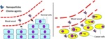 Short Pristine Carbon Nanotubes Can Deliver Drugs to Pancreatic Cancer Cells