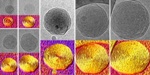 Researchers Employ CryoTEM to Image Dendrimer-Based Vesicles