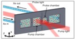 Novel Technology Produces Hyperpolarized Xenon Gas on a Microfluidic Chip