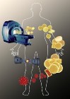 Iron Oxide Particles Embedded in Nanoconstructs Could Improve Magnetic Resonance Imaging