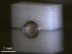Mechanical Invisibility Cloak Prevents Objects from Being Touched