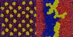 Clusters of Ras Proteins Linked to Cancer Warp Cell Membranes