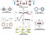 Researchers Construct Biomimetic Smart Nanochannels for Confined Water