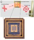Researchers Report Novel Metamaterial Enabling Fast, Efficient and High-Fidelity Terahertz Radiation Imaging System