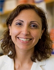 Researchers Test Bone-Targeted Nanoparticle System for Attacking Cancer Cells
