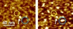 Addition of Water Molecules Leads to Increase in Distance Between Graphite Oxide Layers