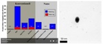 Nano-Coated Silver Textiles Lose Less Silver During Washing