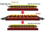 Novel Crystal Forms Three Atoms Thick Flexible, Switchable Material