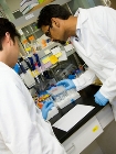 American Society for Photobiology Recognizes ASU Chemical Engineer as an Emerging Research Leader