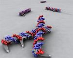 Researchers Employ DNA Origami to Test Theories About Cell Signalling