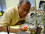 Nanotech Paint Changes Color in Response to High Temperature