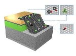 Graphene/Silicon Heterojunction Schottky Diode can be used for Selective Vapors Sensing