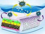 Noble Metal-Free Nitrogen-Rich Carbon Nanotubes Efficiently Catalyze Hydrogen Evolution Reaction