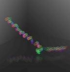 Microscope with Mobile Stage Moves According to Bacterium's Movement