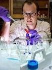 NSF Awards $360,000 Grant for Study on Metal Stainless Alloy Nanostructures